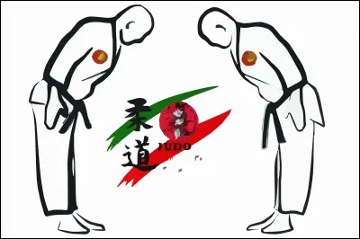 Au judo, les grades sont représentés par différentes couleurs de ceinture. Laquelle n'existe pas ?