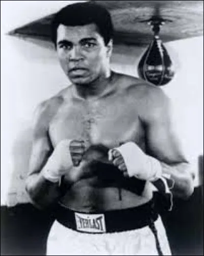 Parmi ces anciens grands champions, lequel n'est pas un boxeur ?