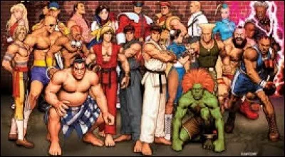 D'après l'image, citer de quelle célèbre saga de jeux vidéo de combat ces personnages sont issus :