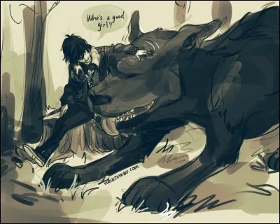 Comment s'appelle le chien des Enfers domestique de Percy ?