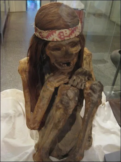 Combien de fois Percy a-t-il vu l'oracle ?