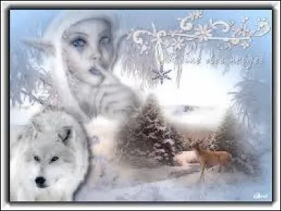 Perroquet parleur d'Afrique, de couleur gris cendré :