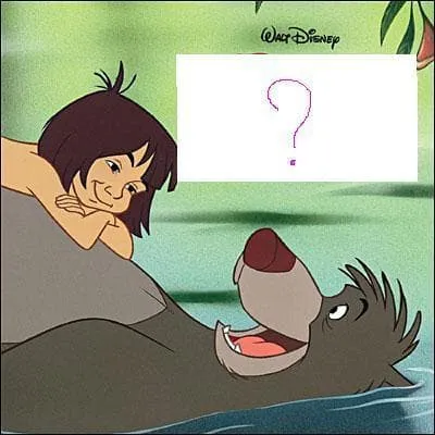 Quel est le titre de ce livre ?