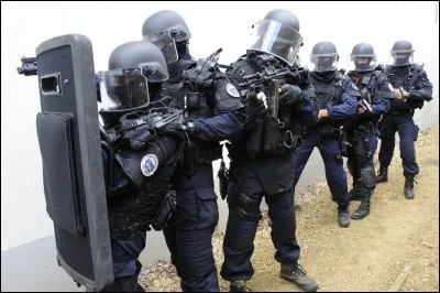 En France, GIGN signifie...
