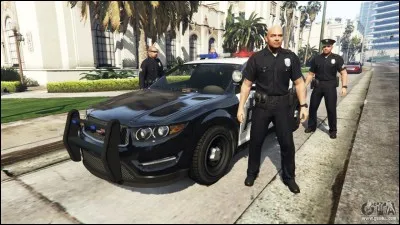 Ces policiers sont tirés du jeu...