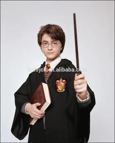 Comment est la baguette de Harry Potter ?