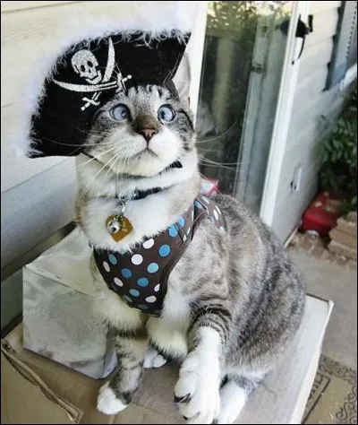 Retrouve le titre de ce film !