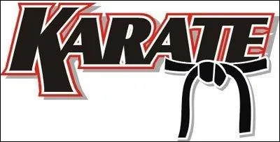 En quelle année le premier dojo a-t-il ouvert aux États-Unis