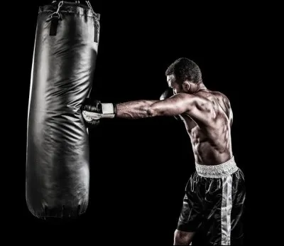 Combien existe-t-il de principaux types de boxe ?