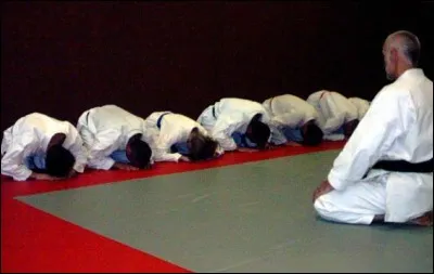 Si nous faisons du karaté, nous ne serons pas reconnus comme quelqu'un de...