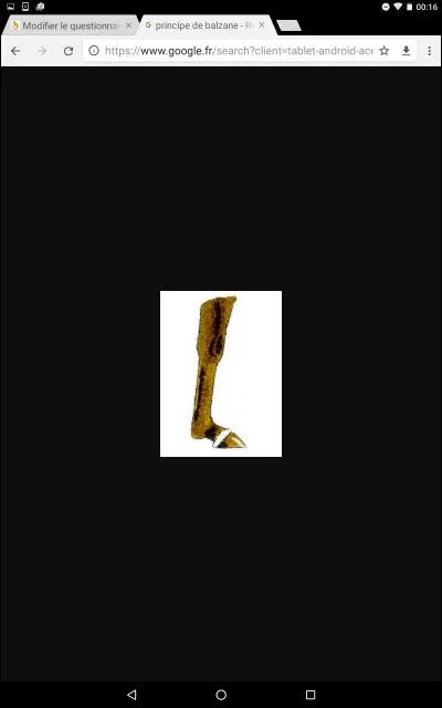 Comment s'appelle cette sorte de balzanes ?