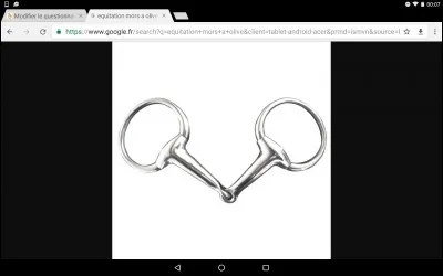 Comment se nomme ce mors ?