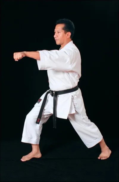 Quel terme désigne un coup porté au ventre ?