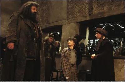 À quel âge Harry rencontre-t-il Hagrid ?