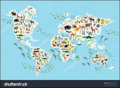 Quel continent es-tu ?