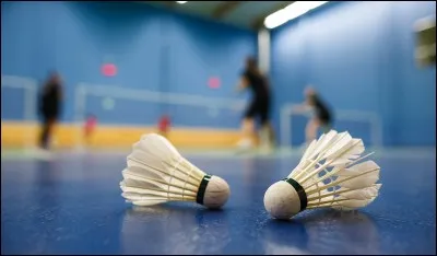 Qui est prof de badminton ?