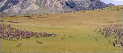 Contre qui se bat Peter pour la première fois ?