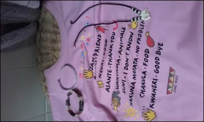 Quel est le v&ecirc;tement que tu aimes le plus porter ?