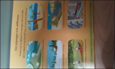 O&ugrave; pr&eacute;f&egrave;res-tu &ecirc;tre ?