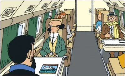 Dans "Vol 714 pour Sydney", contrairement à toute attente, qui démontre ses talents dans l'art de la savate ?