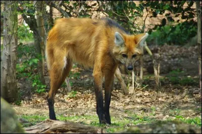 Dirigez-vous vers le pays du tango !