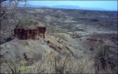 On a trouvé à Olduvai de nombreux fossiles de l'Australopithèque et de l'Homo Habilis ainsi que des outils préhistoriques. Dans quel pays se trouve Olduvai appelé aussi Oldoway ?