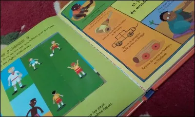 Qu'est-ce que le "dosu" ?