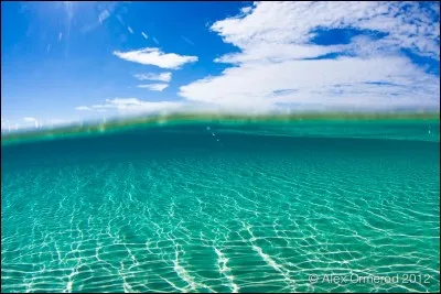 Que signifie "tirant d'eau" ?