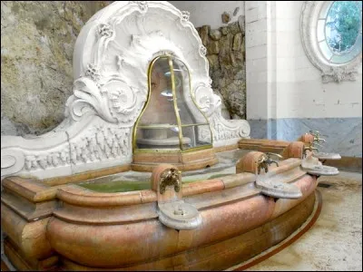 Il existe beaucoup d'eaux minérales venant de différentes sources. Savez-vous d'où vient "l'eau minérale des Célestins réputée pour favoriser une bonne digestion"?