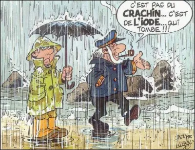 Le mot "crachin" est synonyme de ?