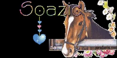 D'où provient le prénom Soazic ?