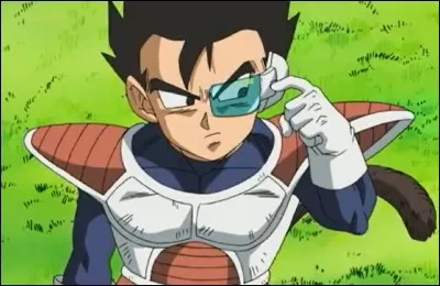 Comment s'appelle le petit frère de Vegeta ?