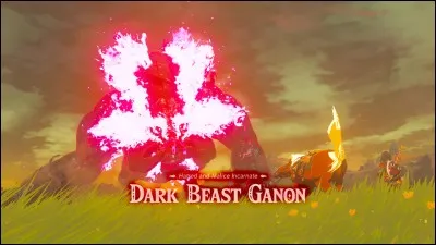 Quelle arme utilise Link dans le coup de grâce contre Ganon (à la deuxième phase) ?