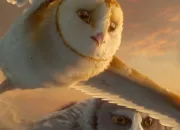 Quiz La petite bande Ga'Hoole