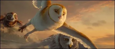 Combien de membres compte-t-elle ?