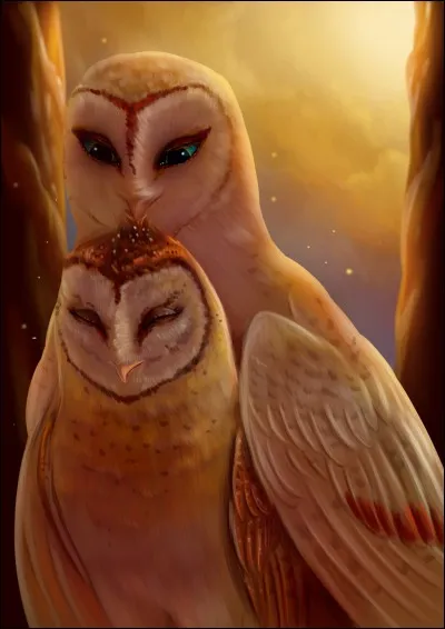 Qui sont Boron et Barrane ?