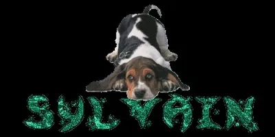 Lequel de ces prénoms est le diminutif de Sylvain ?