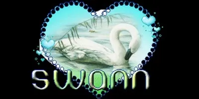 Quelle est la signification du prénom Swann, d'origine anglo-saxonne ?