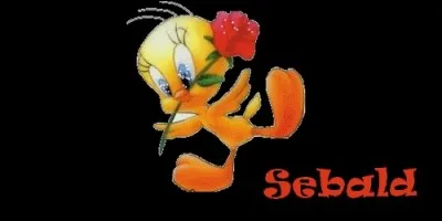 Que signifie le prénom Sébald, d'origine germanique ?