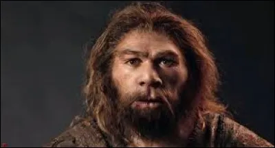 Le cerveau de l'homme de N&eacute;andertal &eacute;tait plus petit que le n&ocirc;tre.