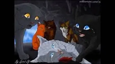 Pourquoi un jour, déprima-t-elle ?