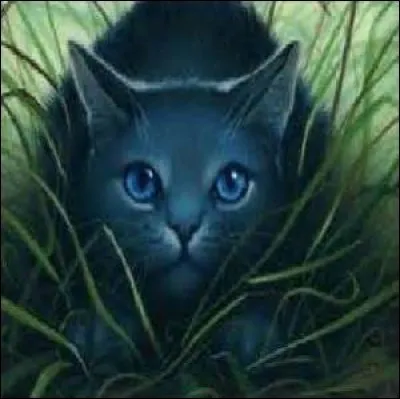 Comment Etoile Bleue est-elle morte ?