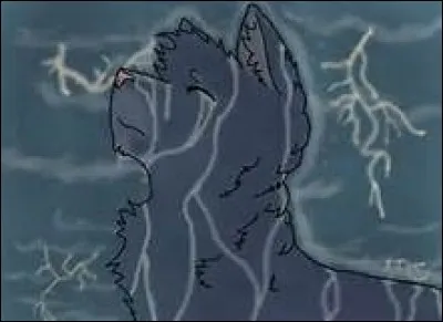 Et enfin... qui en hérita ?