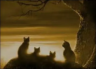 Quel est le nom de leur père ?