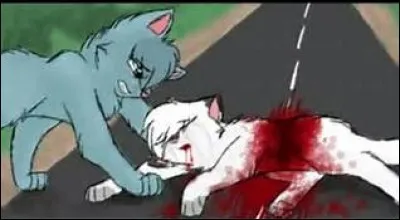 Comment meurt sa sur ?