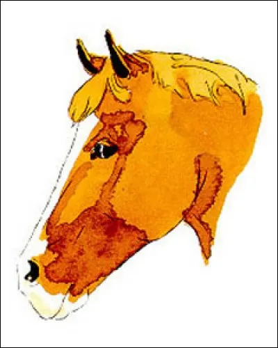 Comment s'appelle cette marque ?