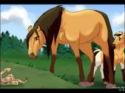 Comment s'appelle ce cheval ?