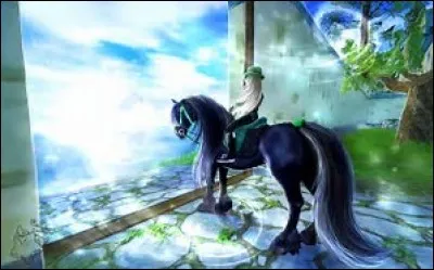 Qu'est "Star Stable" ?