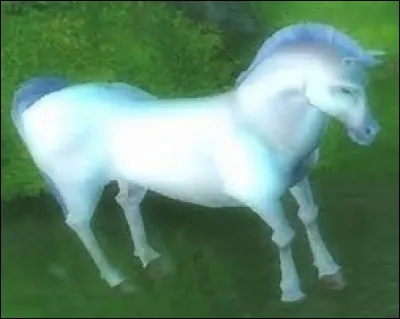 Peut-on acheter ce cheval ?