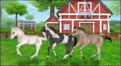 Y a-t-il des poulains sur "Star Stable" ?